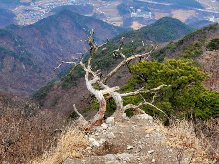  구병산 등산