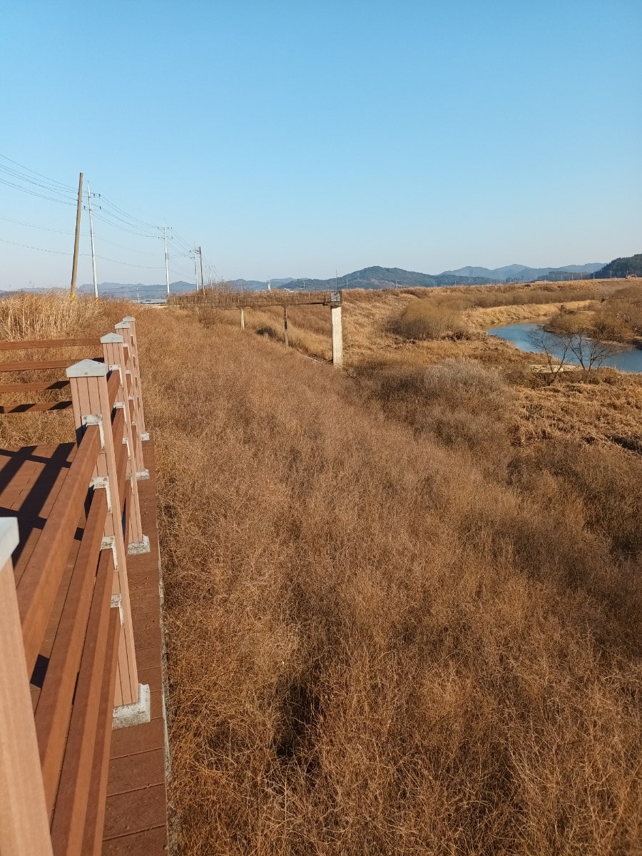 서당골 사진 6