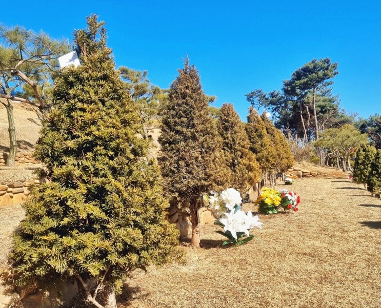  수목장 이장하려면 필요한 서류입니다