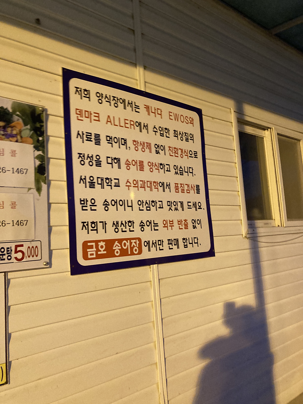 금호송어양식장 사진 4