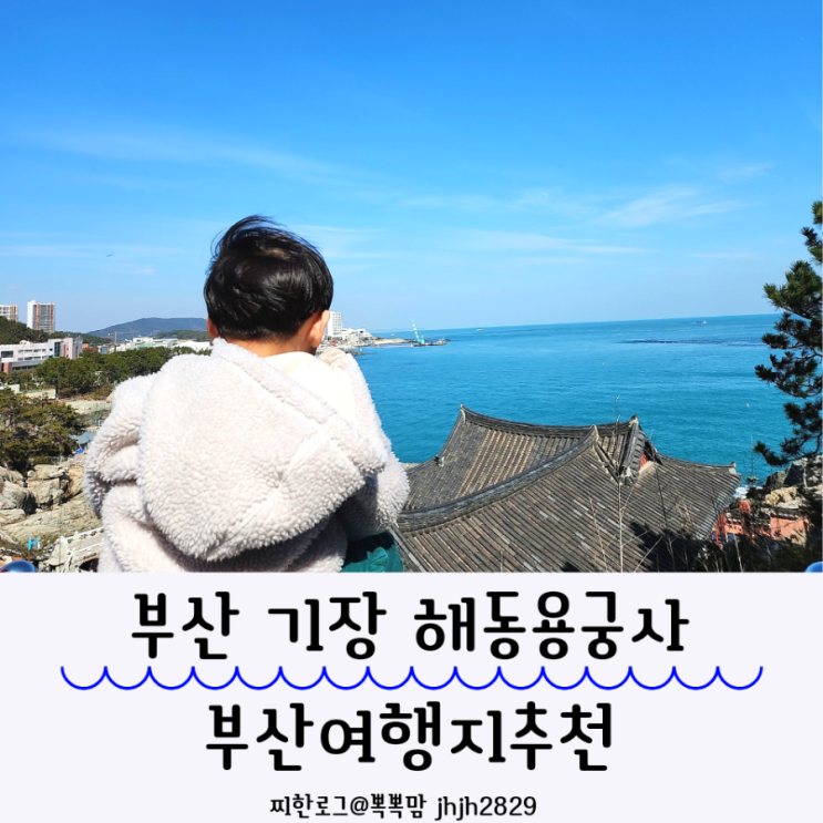  부산 기장 해동용궁사 부산여행지추천 부산가볼만한곳