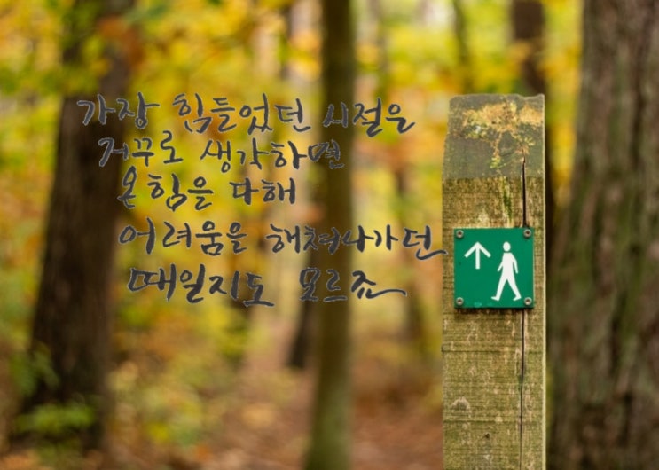  [힐링&마음 치유] 초보의 캘리그라피 좋은글-달러구트 꿈 백화점