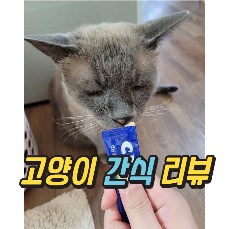  고양이 간식 습식 추천 캣냠 퓨레 후기