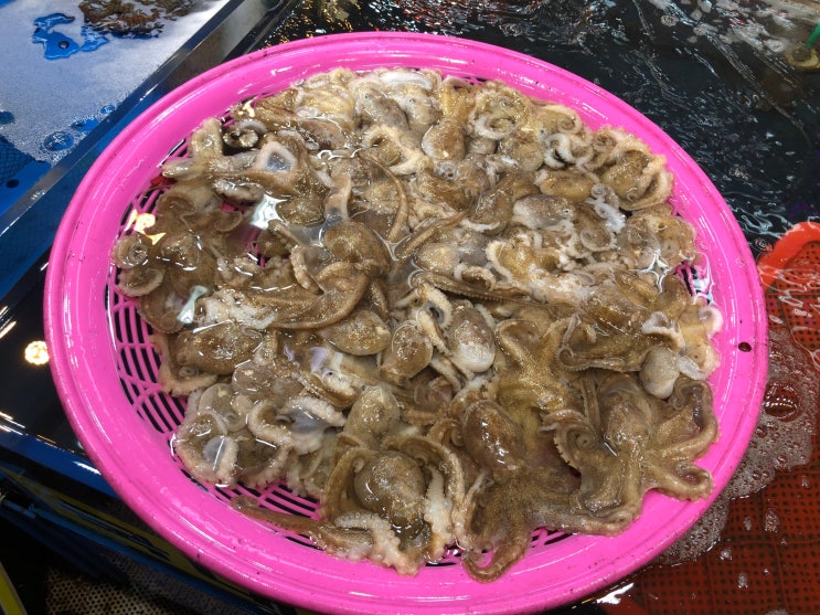  인천 소래 쭈꾸미 맛집 백두호남수산 추천해요
