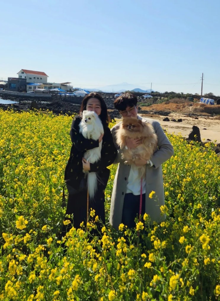  늙어가고 있지만 행복한 생일 in 제주도