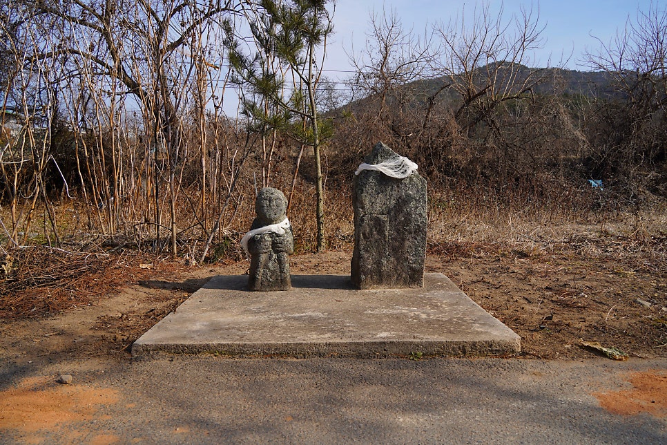 박산소 사진 5