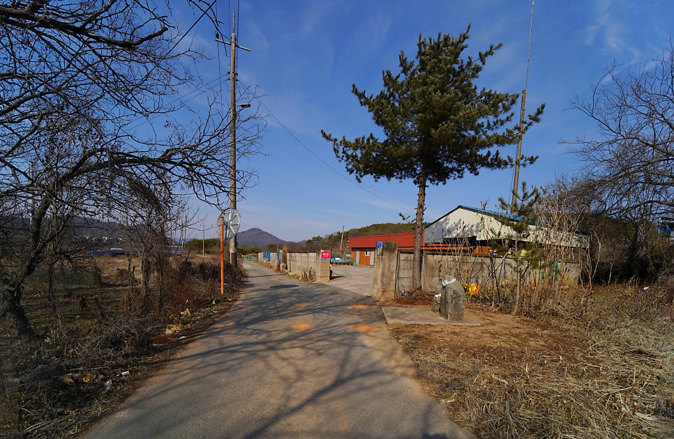 박산소 사진 4