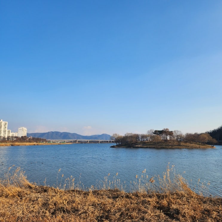  주말 밀양나들이 카페 수월리+밀양역 바로손찐빵만두