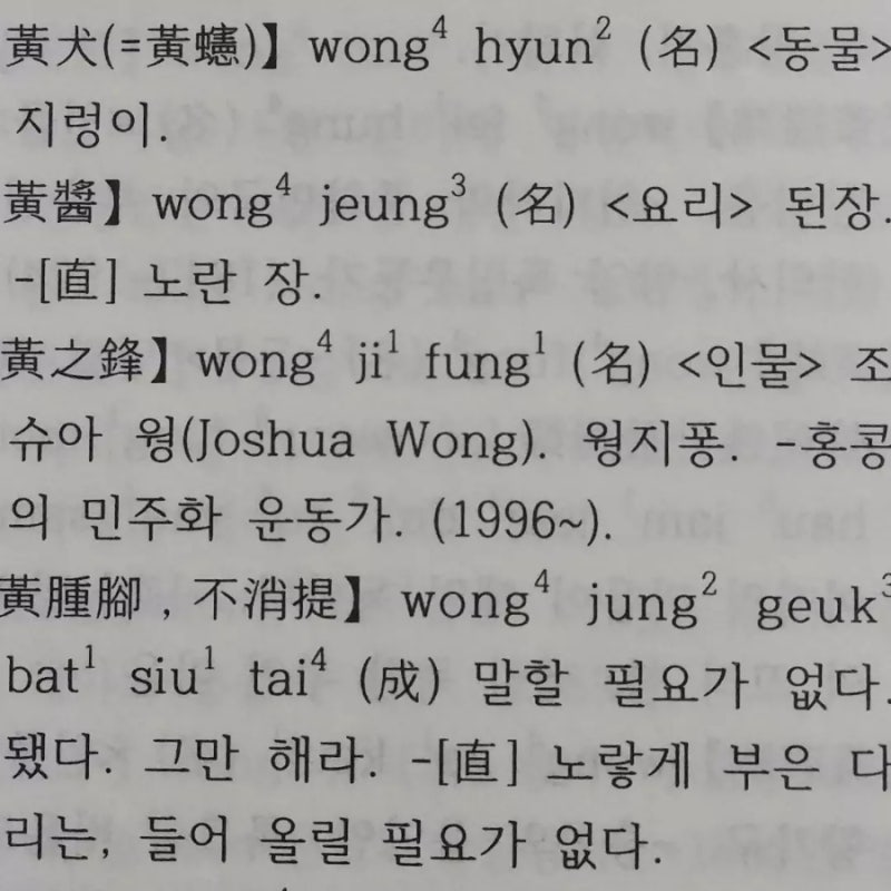 조슈아 웡(Joshua Wong)
