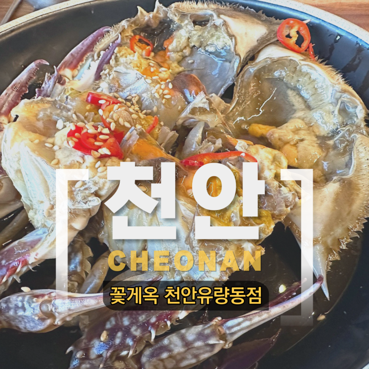  천안 꽃게옥 유량동점 간장게장 양념게장 애견동반가능 맛집 추천