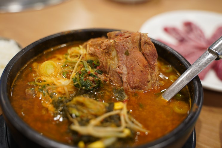  대전 뼈다귀 해장국 맛집 중구청역 타향골 뼈해장국 따귀탕 갈비탕 미쳤다