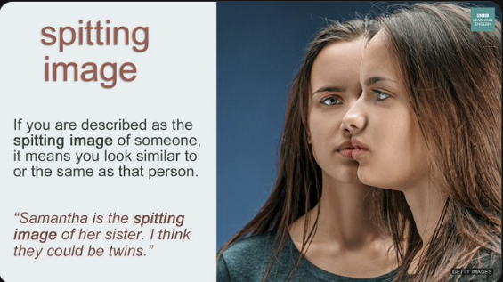  [영어] the spitting image를 아시나요?