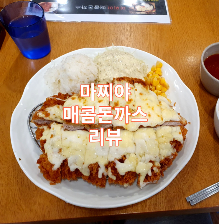 경기도 성남 단대오거리 돈까스 맛집 마찌야 매콤 돈까스 리뷰 / 신구대 / 치즈돈까스 / 우동 / 모밀 / 가성비 / 가볼만한곳