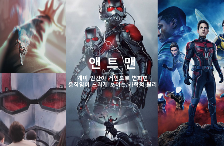  앤트맨 거인의 느린 움직임과 핌 입자의 허구 뒤에 숨겨진 과학 (Ft. 앤트맨 시리즈 첫번째)