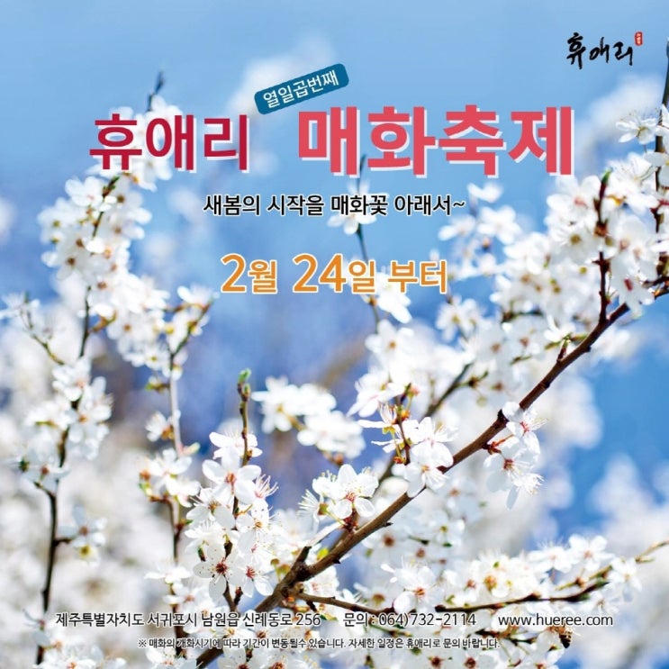 휴애리 매화축제 (23.02.24~23.02.26) 휴애리 매화축제 (23.02.24~23.02.26)