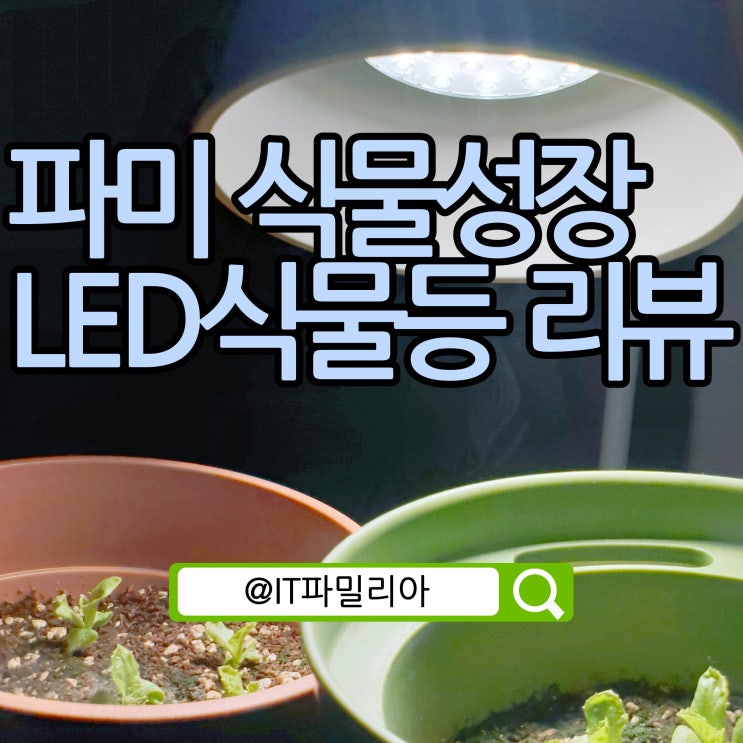  식물조명 파미 식물등으로 쉽게 식물키우기