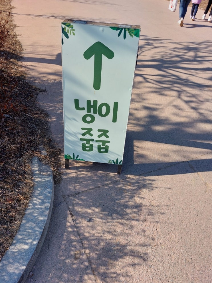  안성팜랜드 냉이 줍줍