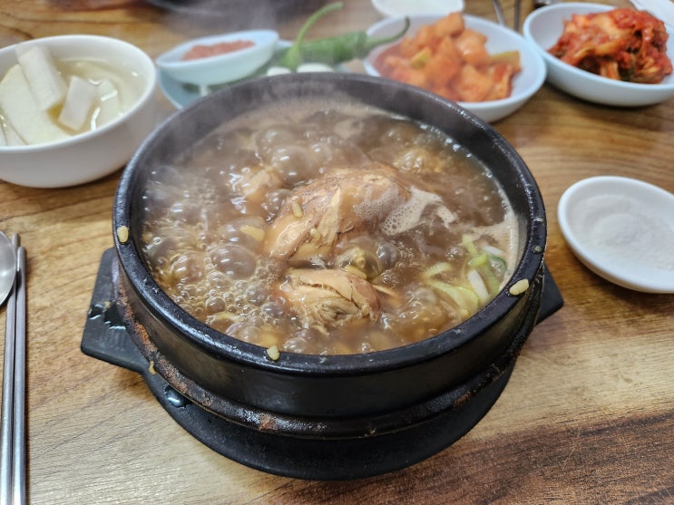  여수 옥하 참옻닭 후기