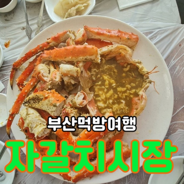  부산 당일치기 여행 : 먹방하기 좋은 자갈치 시장