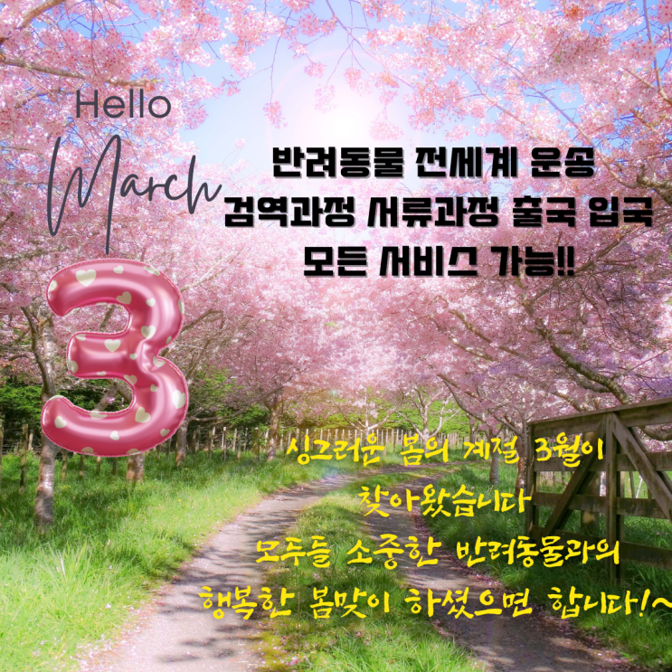  강아지 반려동물 해외운송 [검역 수속 전과정][예고편]