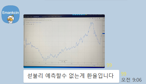  [원달러 환율] 차트 몇 장. 2008년을 복기해 보다.