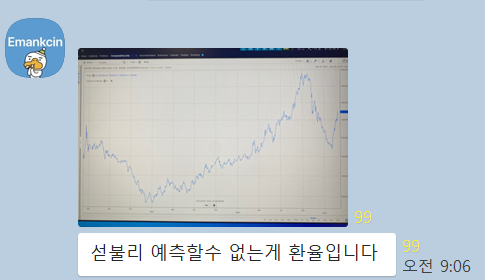 [원달러 환율] 차트 몇 장. 2008년을 복기해 보다.