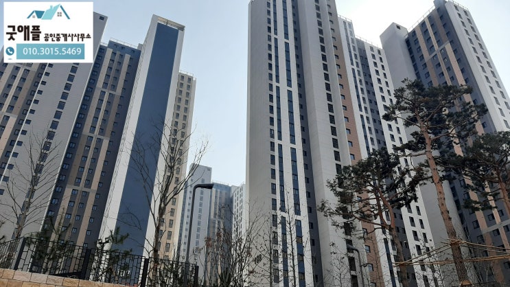 신동탄 포레자이 무순위 줍줍 후 입주하는 현장 임장 신동탄 포레자이 무순위 줍줍 후 입주하는 현장 임장