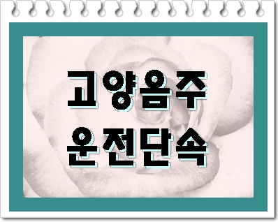  고양 음주운전 단속 적발되었다면