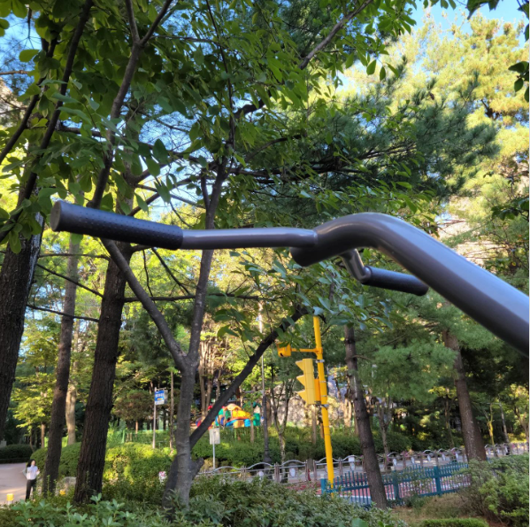  명품. 공원 철봉