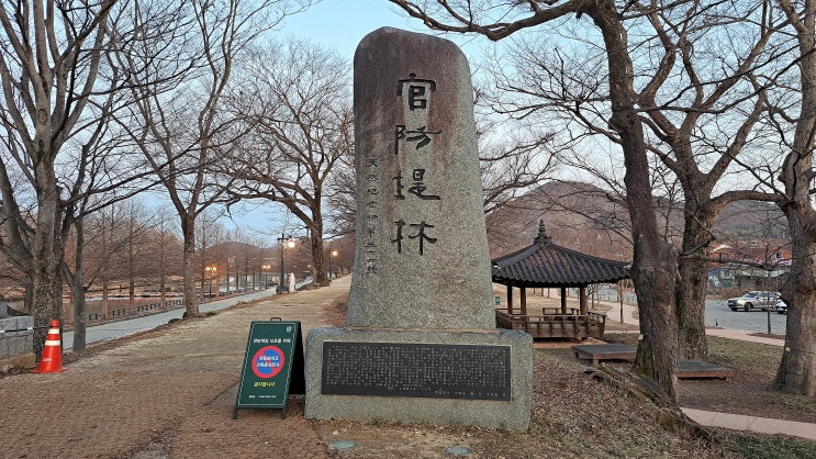 담양 산책하기 좋은 관방제림