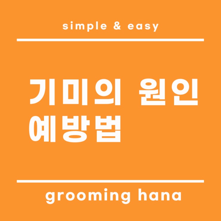  얼굴 기미 원인과 제거를 위한 예방법
