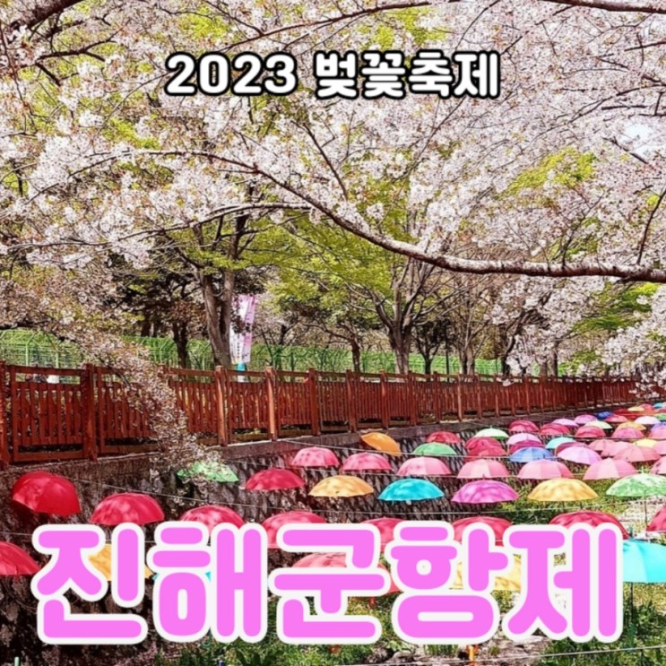 2023 진해 군항제 벚꽃 개화 시기/일정/축제 정보