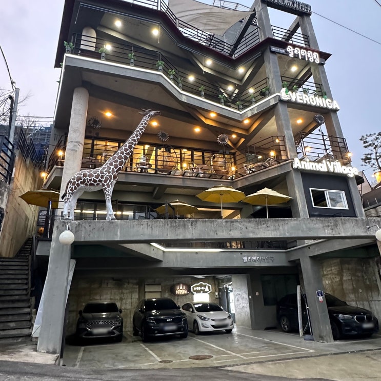  청주 수암골 작은 실내 동물원 애니멀 빌리지