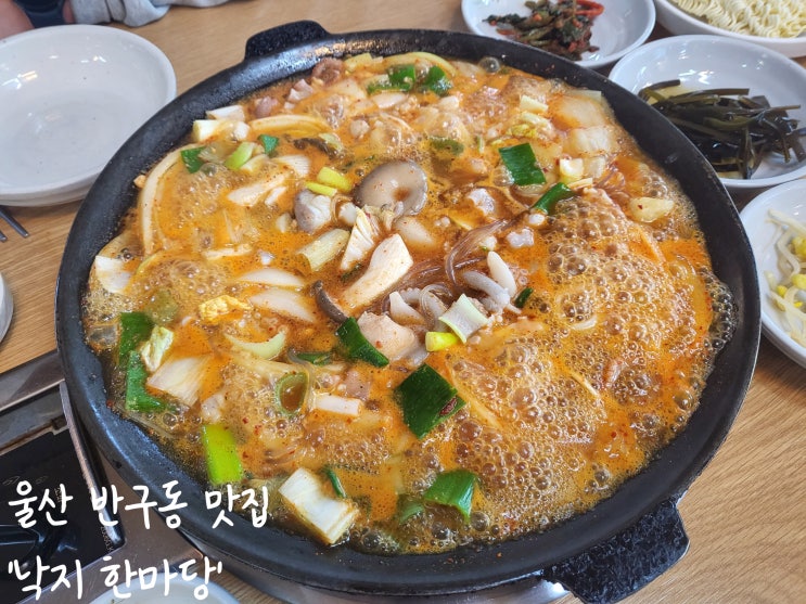  [울산 중구 반구동] '낙지 한마당' 산낙곱,전골 맛집(재방문) 내돈내먹