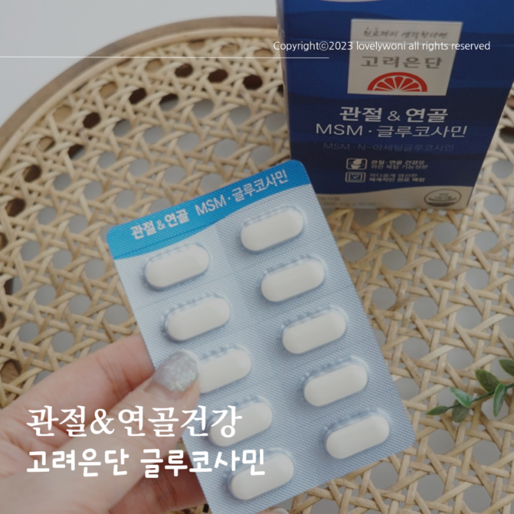  뼈 관절 영양제 고려은단 글로코사민 OptiMSM