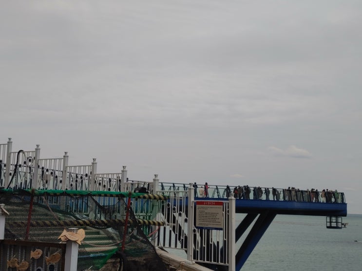 부산광역시 여행 (해운대 블루라인 파크 : 해변열차,스카이캡슐,그린레일웨이) 부산광역시 여행 (해운대 블루라인 파크 : 해변열차,스카이캡슐,그린레일웨이)