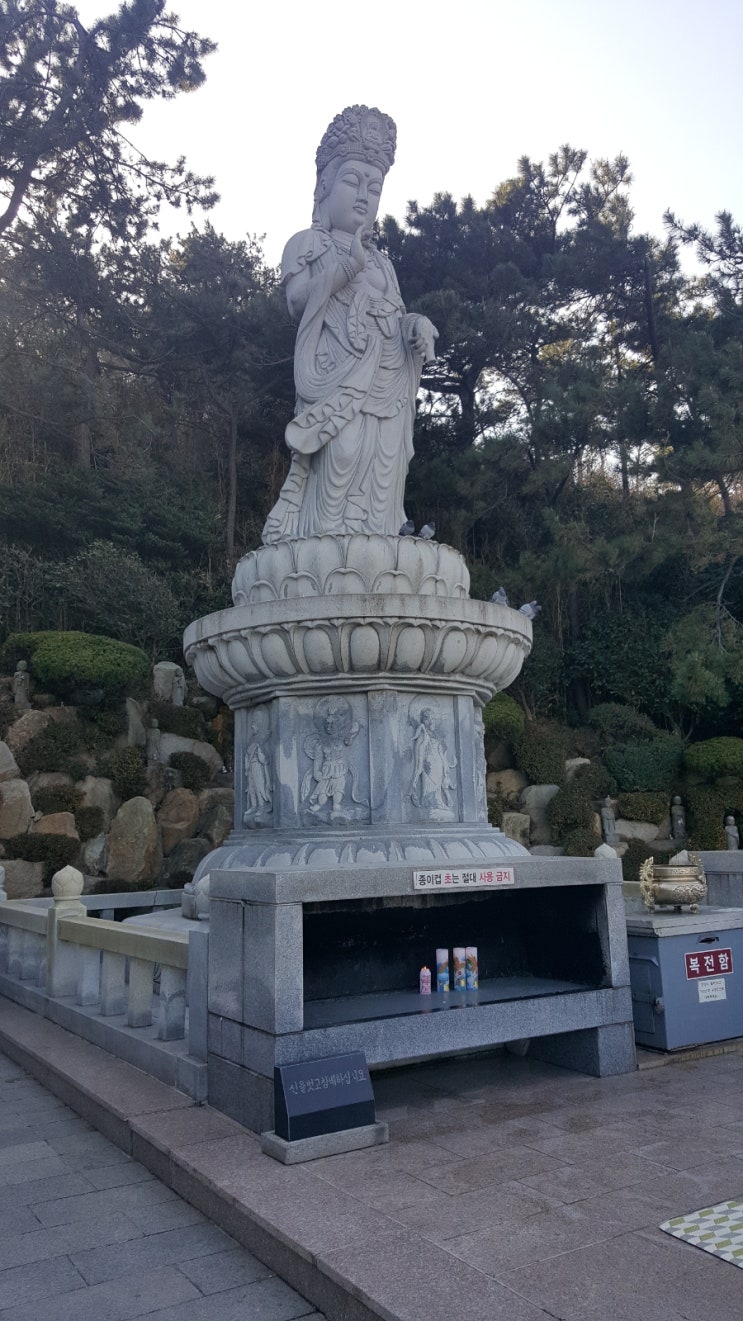  몽수경 夢授經 관세음보살[도선명리]