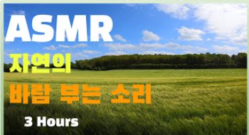  마음의 안정을 주는 자연의 바람 소리 백색소음 ASMR | Wind Sounds