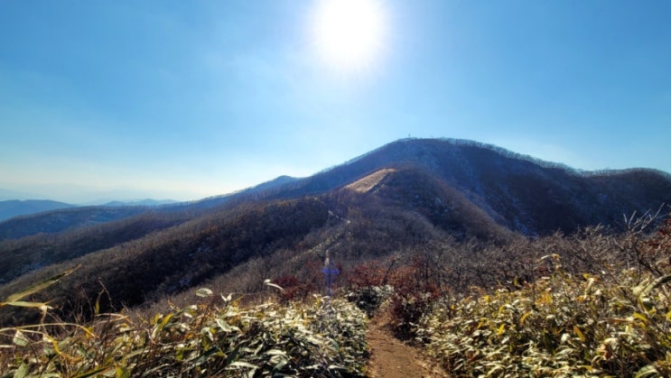  장안산 등산(최단코스)