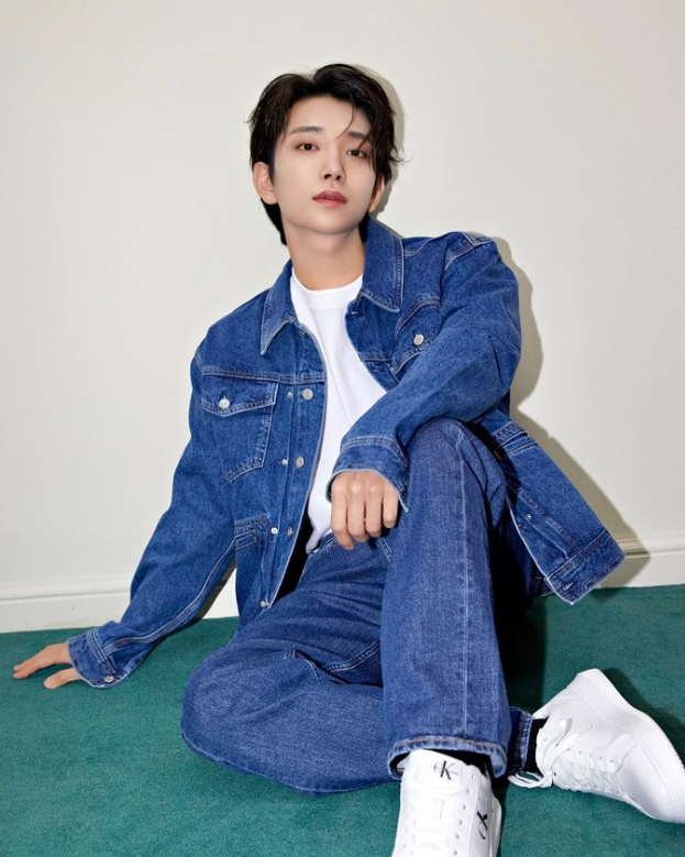 SEVENTEEN Joshua: Hot Profile (Handsome Idol, Talented Singer)