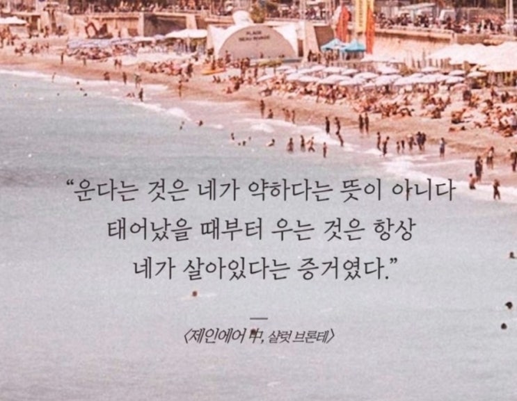  부거사이 [부동산 뉴스와 블로그] 2월 28일(화)
