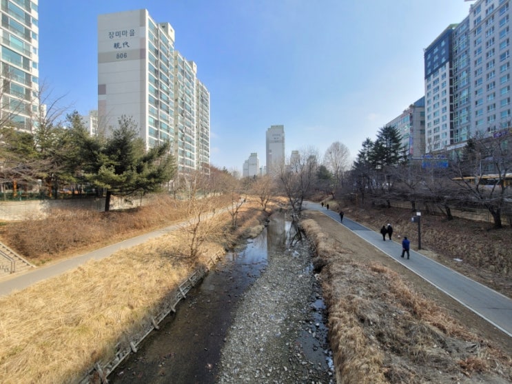 성남시 야탑 여수천 주말 나홀로 산책겸 운동