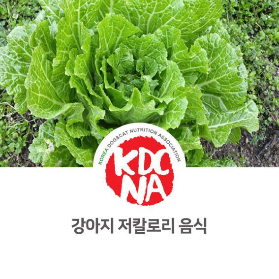  강아지 저칼로리 간식 [최수연펫푸드아카데미/한국반려동물영양협회/강아지화식/강아지자연식/펫푸드학원/수원/오산/용인_1075]
