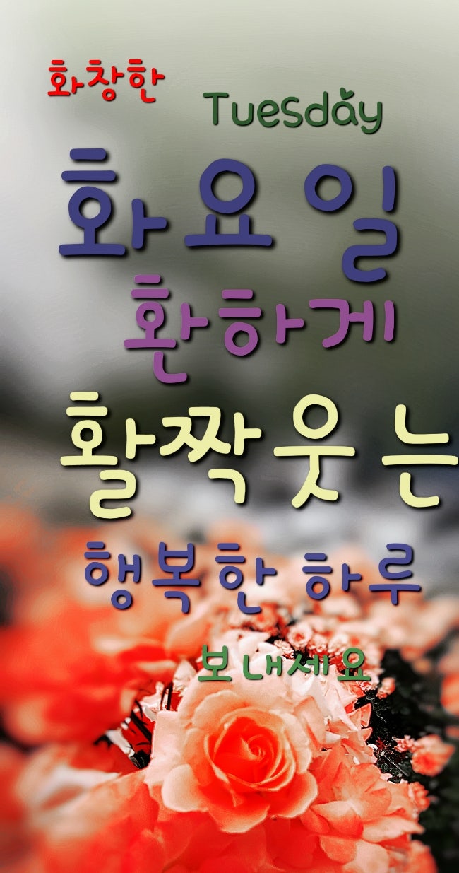 화요일 火曜日 Tuesday 아침인사 ㆍ 화요일인사말 ㆍ 2023.02.28. 모음 : 네이버 블로그