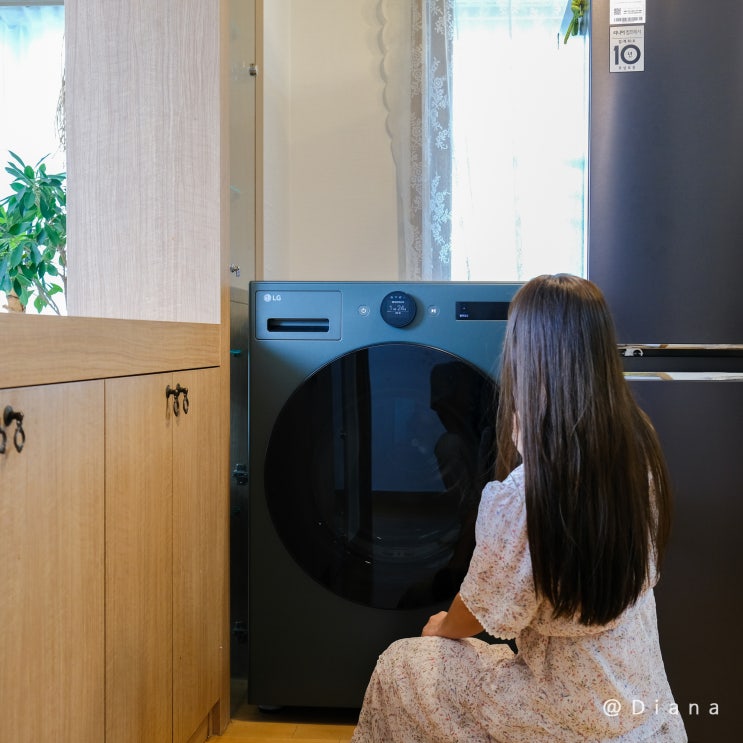 LG 트롬 오브제컬렉션 21kg 대용량 건조기 알차게 쓰는 법 - 트루스팀 활용기 LG 트롬 오브제컬렉션 21kg 대용량 건조기 알차게 쓰는 법 - 트루스팀 활용기