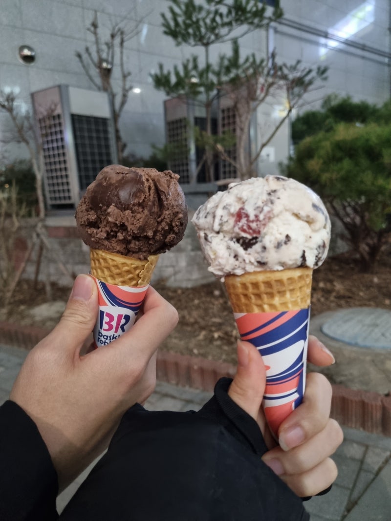 베라 싱글레귤러 싱글킹 컵 콘 가격, 정량 : 네이버 블로그