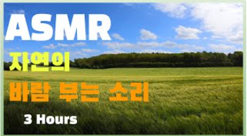  마음의 안정을 주는 자연의 바람 소리 백색소음 ASMR | Wind Sounds