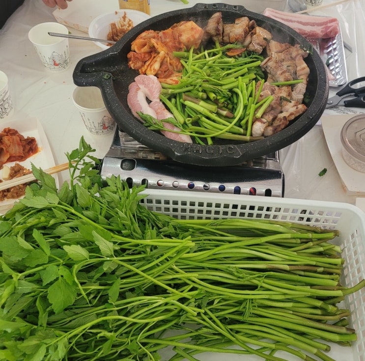  양산 원동미나리 삼겹살맛집! 14번 희야농원과 함께~