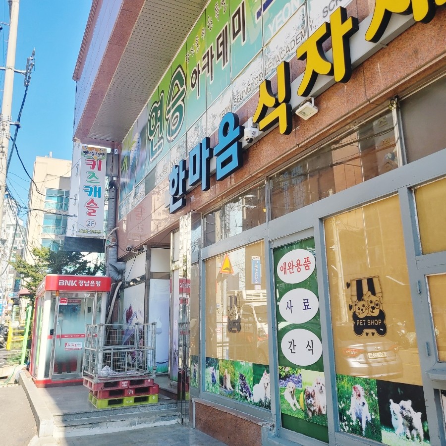 키즈캐슬 사진 3