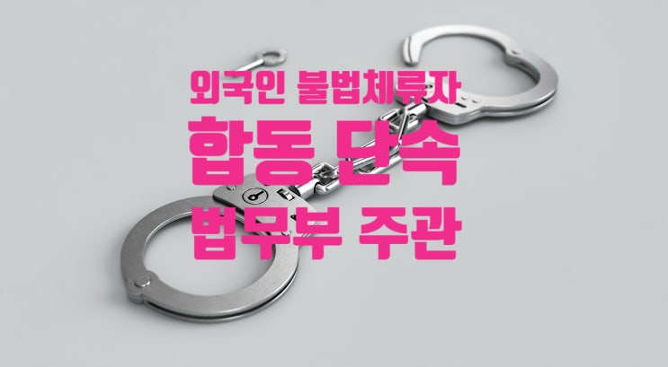 외국인불법체류자 합동단속실시_자진출국 기간 ~2023년02월28일 종료 외국인불법체류자 합동단속실시_자진출국 기간 ~2023년02월28일 종료